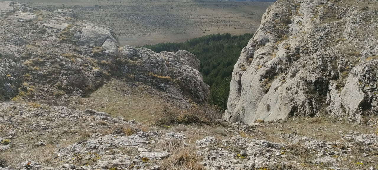 WhatsApp Image 2026-02-10 at 14.47.47 (2)